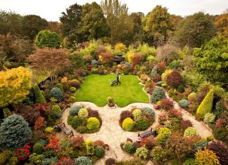 Growing pains: how the climate crisis is changing British gardens