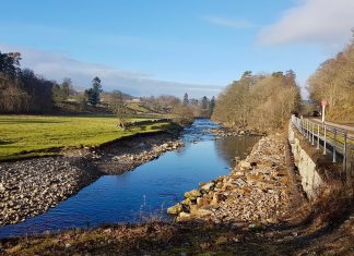 Country diary: a midwinter walk along the South Tyne trail