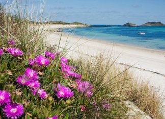 Scilly season: why spring is the best time to visit