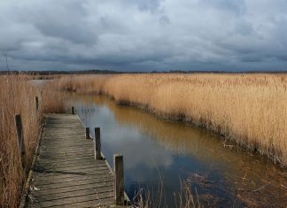 Six of the UK’s best guided nature walks for families
