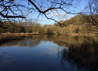 Country diary: quays to a transformation