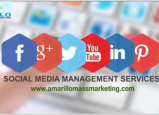 Social Media Management