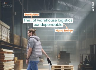 Hand Trolley: A Simple Guide