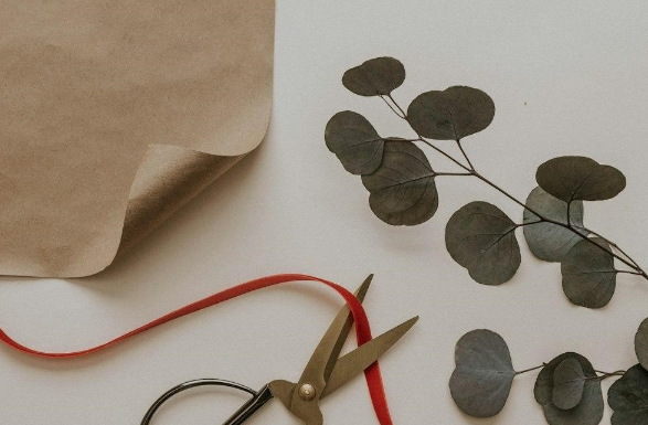 Crafting Made Easy: Know The Differences Between Right-Handed And Left-Handed Scissors